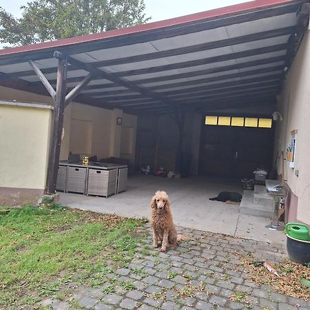 Ferienhaus Herztor Bad Bibra Kültér fotó