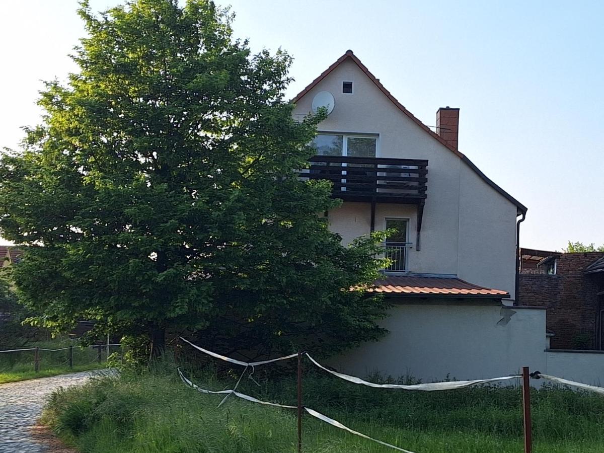 Ferienhaus Herztor Bad Bibra Kültér fotó